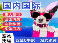 湿地机场物流国际宠物托运 【国